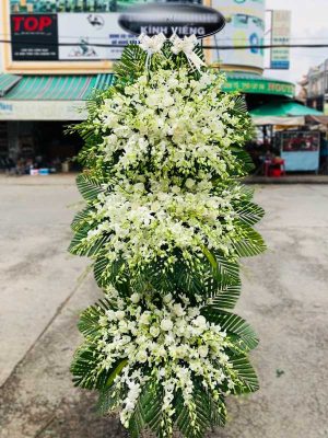 Thành Tâm Ước Nguyện - HV054