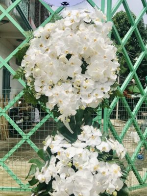 Kính Viếng - HV095