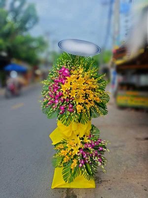 Giọt Mưa Xa - HV069