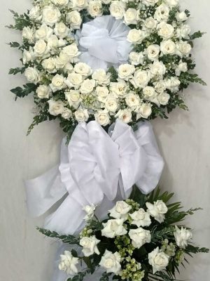 Hạt Cát Trắng - HV046