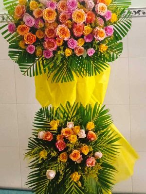 Vặn Sự May Mắn - KT055