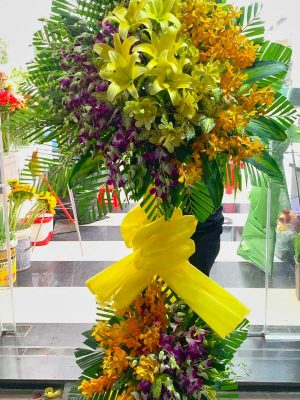 Phút Lìa Xa - HV052