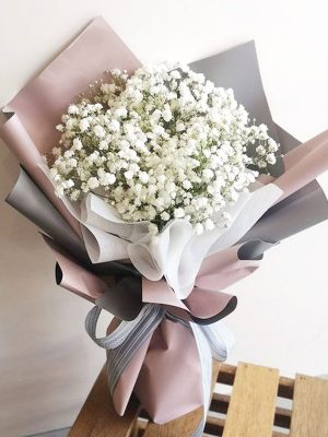 Baby Trắng - SN031