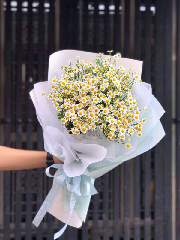 Bó Hoa 0127_62c7269f8a4ac.jpeg