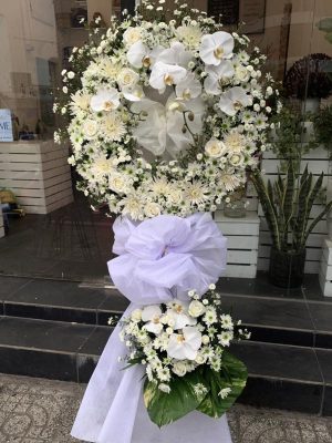 Tiễn Đưa - HV011