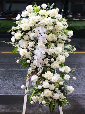 Giọt Lệ - HV023