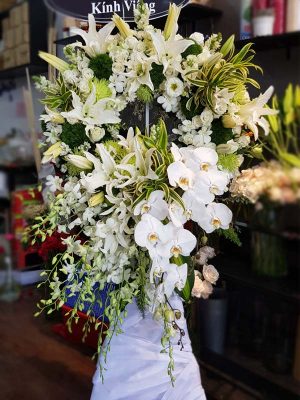 Vĩnh Biệt - HV031