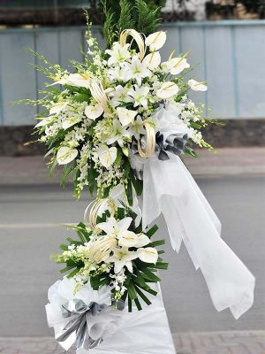 Hoa Tang Lễ HV038