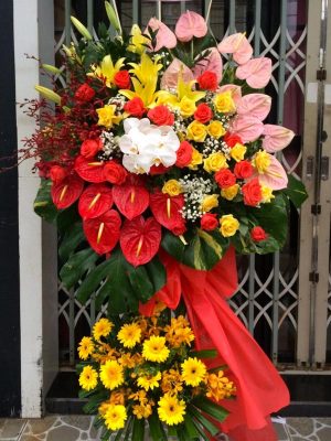 Vững Bước -  KT026