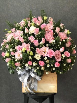 Chúc Mừng - CM007