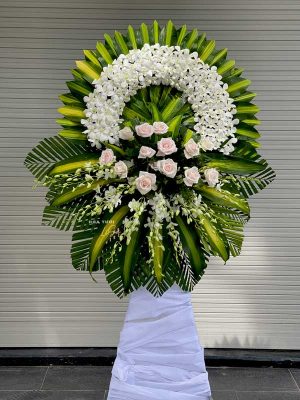 Chiếc Lá Cuối Cùng - HV109