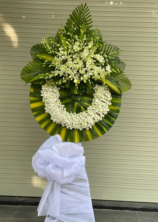 Hạt Cát Trắng -HV128