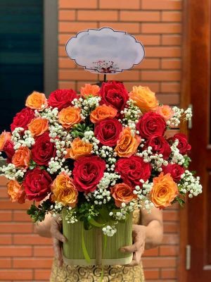 Chúc Mừng - CM047