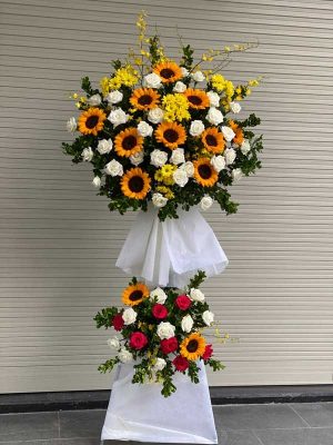 Khai trương hồng phát-KT100