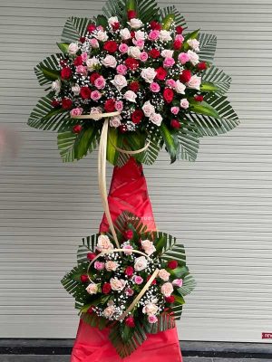 Mã đáo thành công-KT102