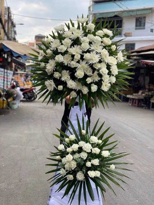 Lệ Buồn - HV152
